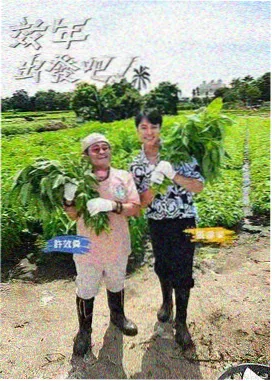 周末慢游计划 海报