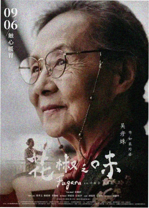 齿轮镇少年 海报